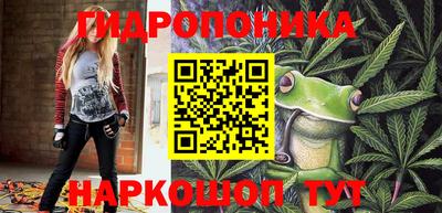 ГАЛЛЮЦИНОГЕННЫЕ ГРИБЫ Сланцы