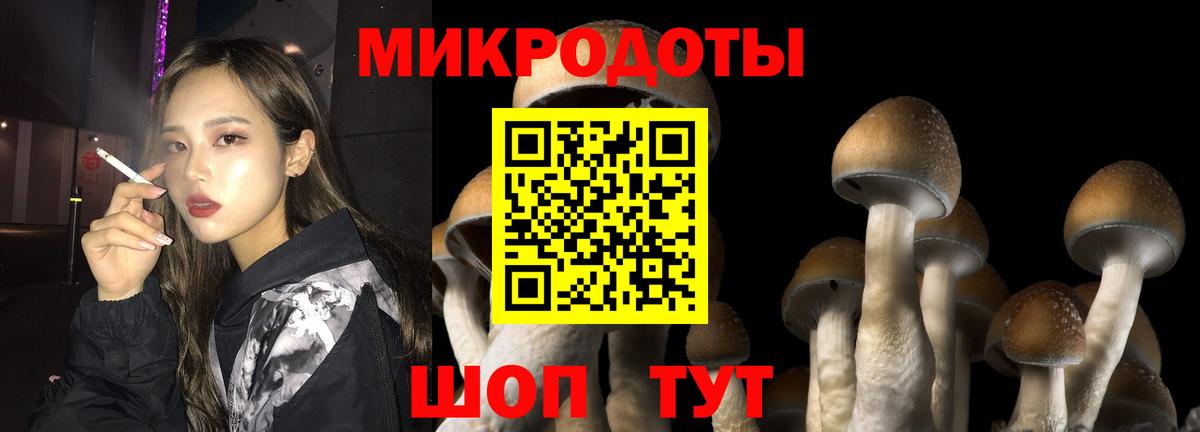 Галлюциногенные грибы ЛСД  Вход с VPN  Галлюциногенные грибы ЛСД  Новороссийск 